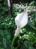20160618_104853