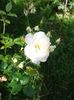 20160618_104908