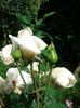 20160618_104918