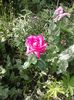 20160618_104942