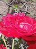 20160618_105001