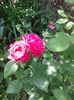 20160618_105012