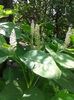 20160618_105024