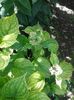 20160618_105036
