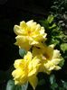 20160618_105102