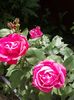 20160618_105112