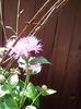20160618_105126