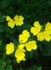 20160618_105131