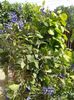 20160618_105151