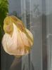 20160618_105158