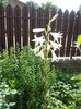20160618_105211