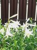 20160618_105216