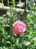20160618_105227