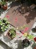 20160618_105249
