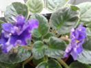 20160619_174343