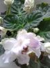20160619_174406