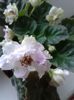 20160619_174419