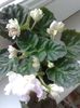 20160619_174424