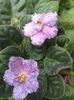 20160619_174455