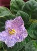 20160619_174504