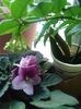 20160619_174633