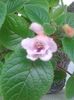 20160620_181800
