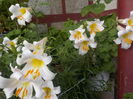 DSCN0277[1]