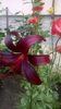 WP_20160621_15_49_53_Pro