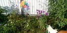 IMG_20160622_074547