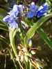 IMG_20160622_074716