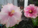 DSCN0904