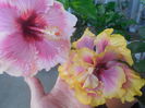 DSCN0923