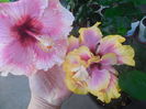 DSCN0925