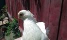 20160622_115454