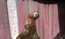 20160622_113226