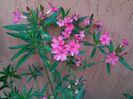 IMG_20160622_121637