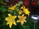 IMG_20160613_114352