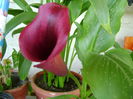 DSC02860