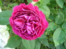 DSC02871