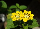 DSC08079