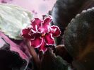20160620_185459