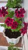 WP_20160620_19_23_22_Pro