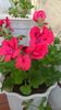 WP_20160620_19_22_53_Pro