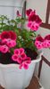 WP_20160620_19_23_02_Pro