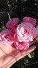 20160623_073030