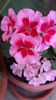 20160622_084928
