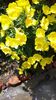 20160617_130527