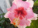 DSCN0933