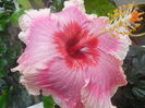 DSCN0934