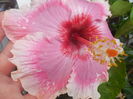 DSCN0936